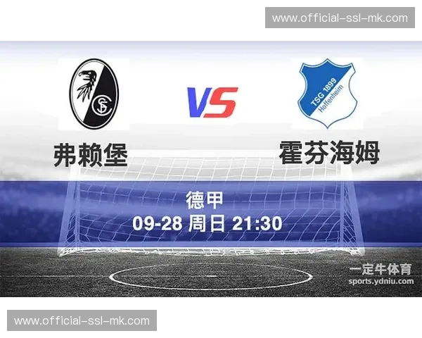 霍芬海姆3-0弗赖堡，主场七连胜巩固联赛第三位置